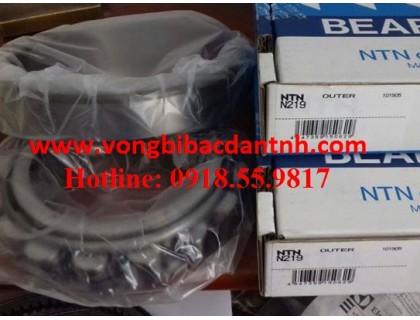 VÒNG BI-BẠC ĐẠN-Ổ B-N219-NTN-KOYO-NSK-FAG-NACHI-NHẬT-ĐỨC-GIÁ RE